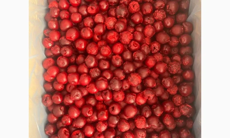 Продам Вишню заморожену без кісточки - фото № 1