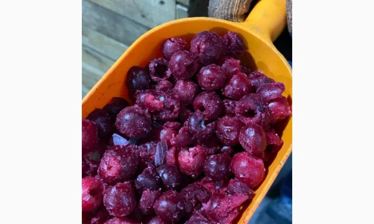 Продам вишню без кісточки - фото № 1