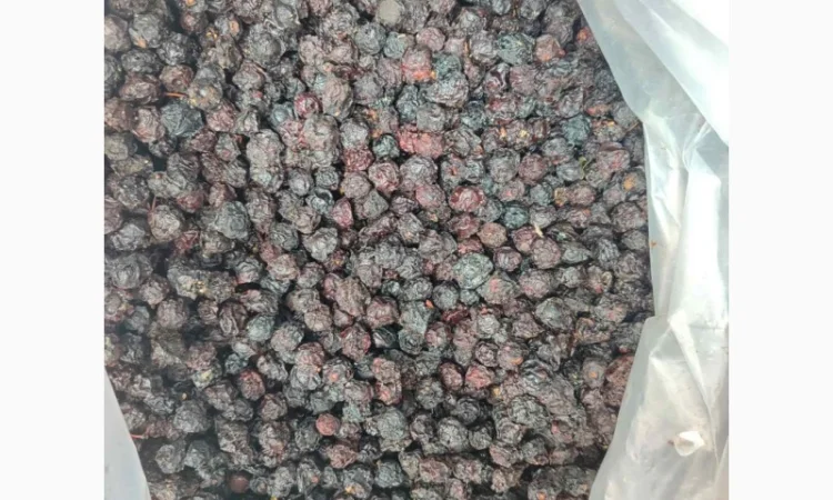 Продам сушену вишню - фото № 2