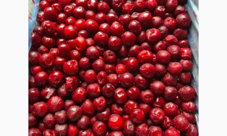 Заморожена вишня без кісточки ( 10 кг ) - фото № 1