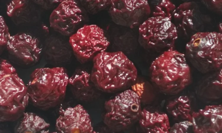 Продам сушенную вишню - фото № 1