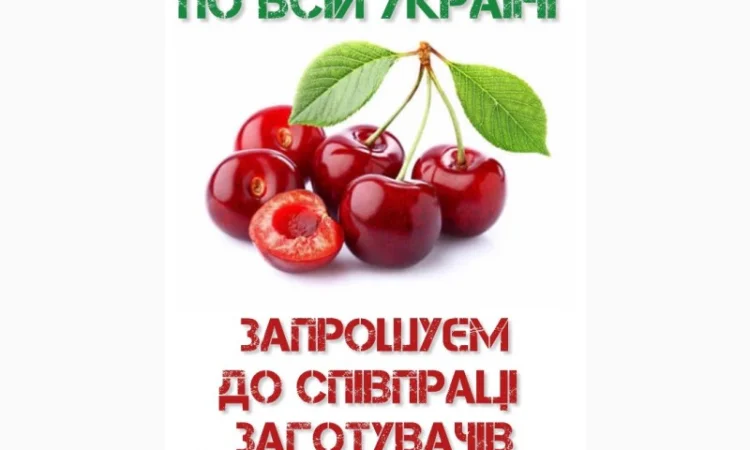 Купуємо вишню - фото № 1