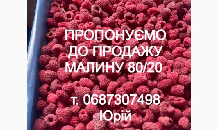 Продам заморожену малину - фото № 1