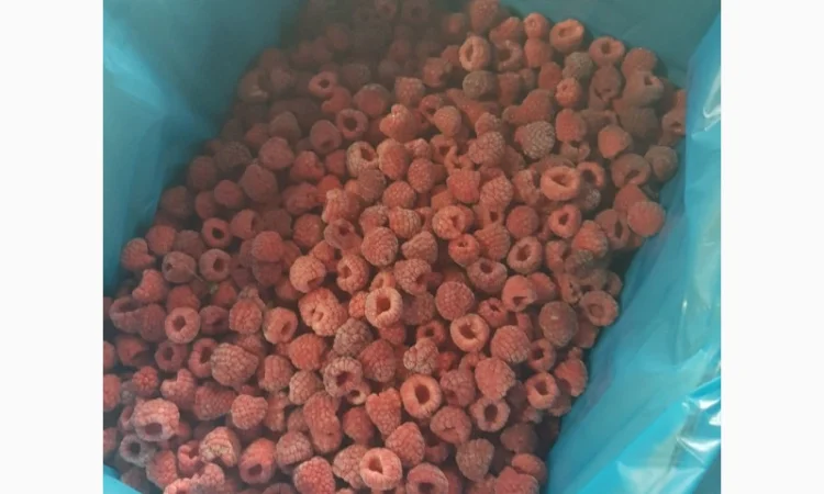 Продам МАЛИНУ замороженную - фото № 5