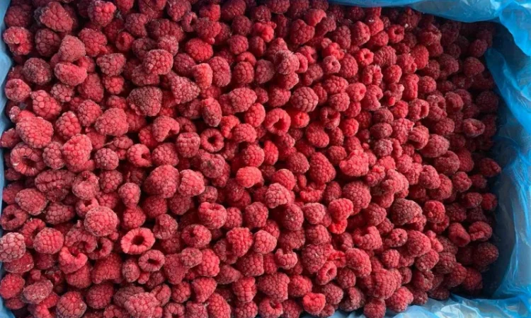 Куплю заморожену малину від 20 тонн - фото № 1