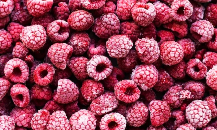 Закуповуємо заморожені ягоди - фото № 1