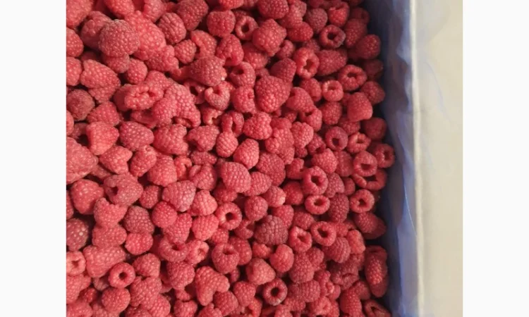 Куплю малину заморожену - фото № 1