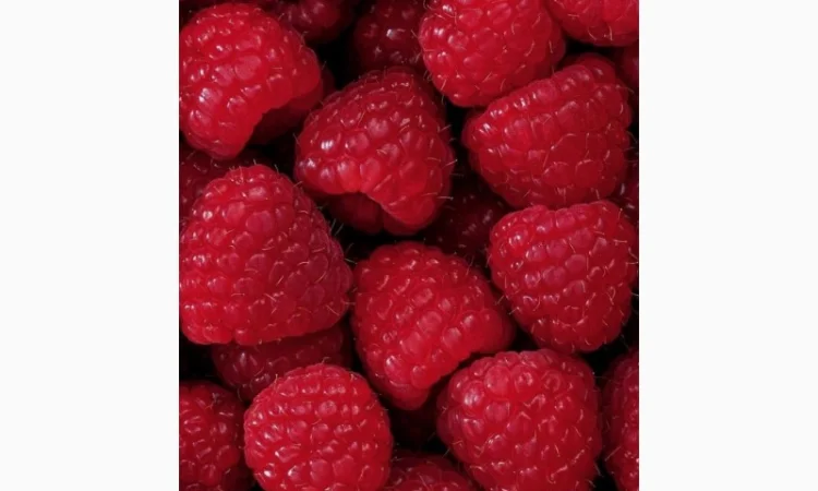 Куплю свіжу малину оптом, тільки оптом - фото № 1