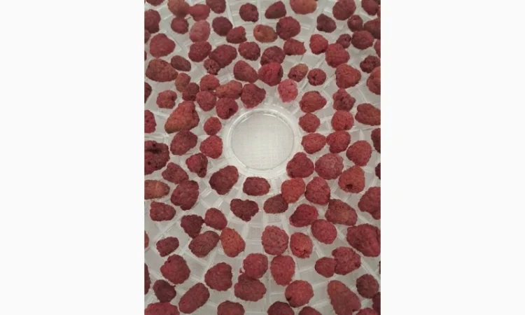 Продам малину сушену - фото № 3