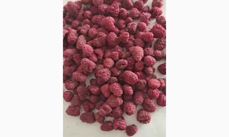 Продам малину сушену - фото № 4