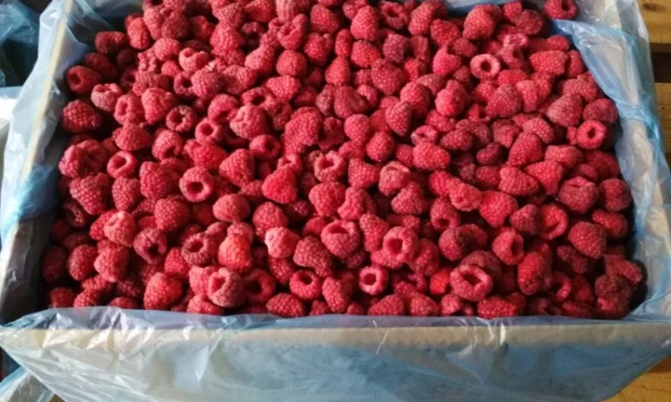 Куплю малину заморожену: оригінал, 80/20, 90/10 - фото № 1
