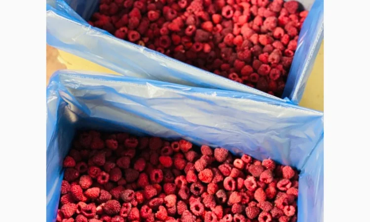 Заморожена малина - фото № 7