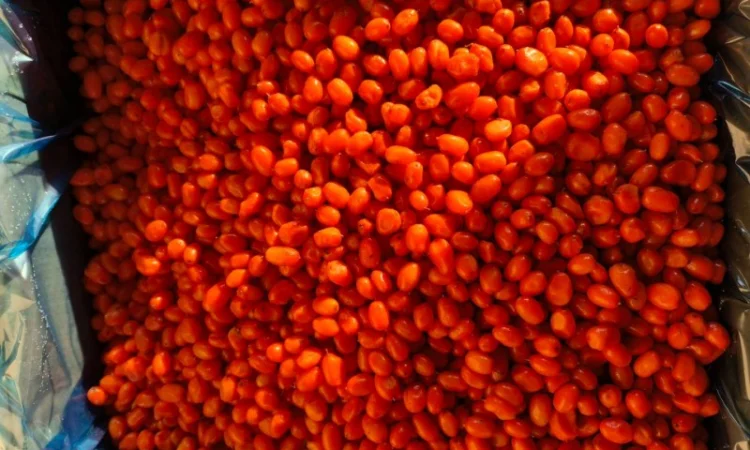 Продам обліпиху висшого сорту заморожену (Китай) - фото № 2