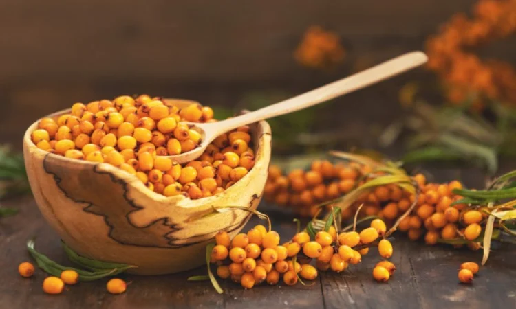 Обліпиха на вагу - фото № 1