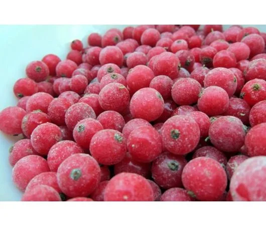 Куплю порічку заморожену порічка - фото № 1