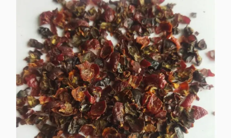 Кожура шиповника (шкірка шипшини) - фото № 1