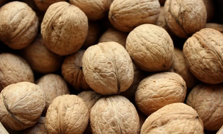 Грецький горіх (кругляк), Бойний. без довбуна, 3т - фото № 1