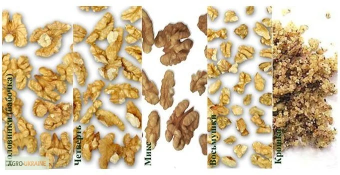 Закупкам круглый год ядро грецкого ореха. Бабочку, микс, четверть - фото № 2