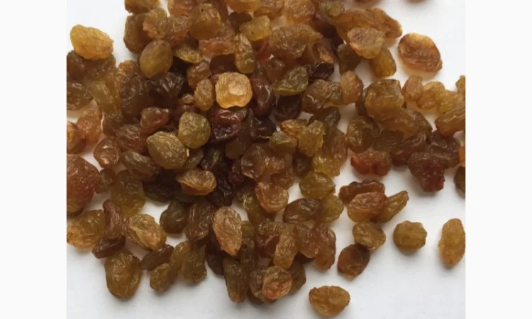 Продам изюм светлый 650 - фото № 1