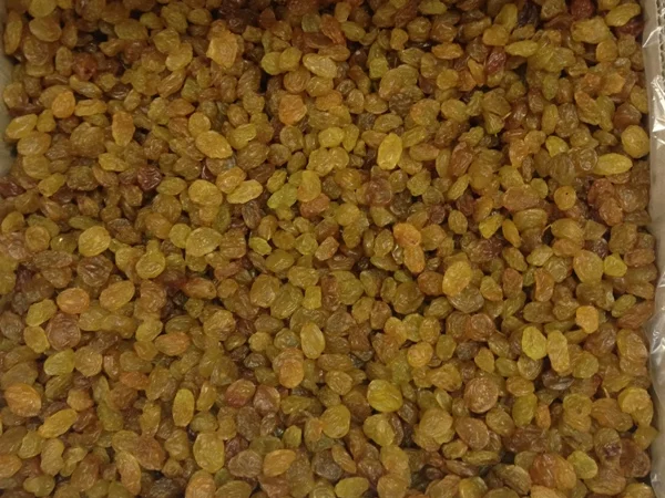 Продам изюм светлый 650 - фото № 2