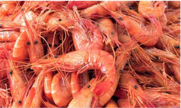 Продаем лосось замороженный и морепродукты оптом - фото № 3