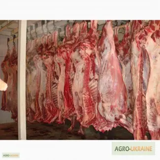 СРОЧНО продам от производителя говядину и свинину на экспорт внутренний рынок с 20 тонн - фото № 11