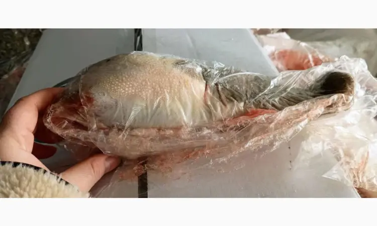Продам язык говяжий По запросу - фото № 1