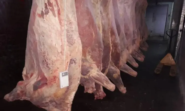 Продам на экспорт полутуши говядины. От производителя с 20 тонн Кроме Европы - фото № 11