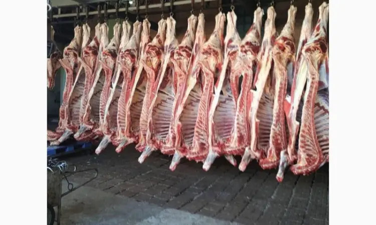 Продам на экспорт полутуши говядины. От производителя с 20 тонн Кроме Европы - фото № 12