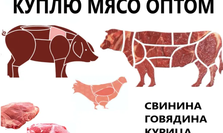 Куплю м'ясо птиці (частини курячі: філе - фото № 1