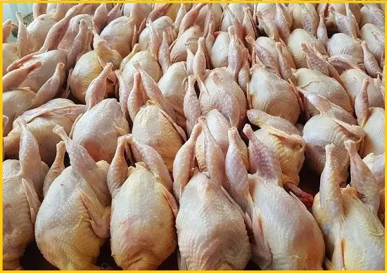 Мясо перепела BIO оптом - фото № 2