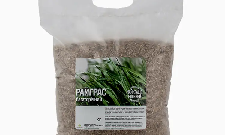 Райграс пастбищный от 1 кг продам. Кормовая трава - фото № 2
