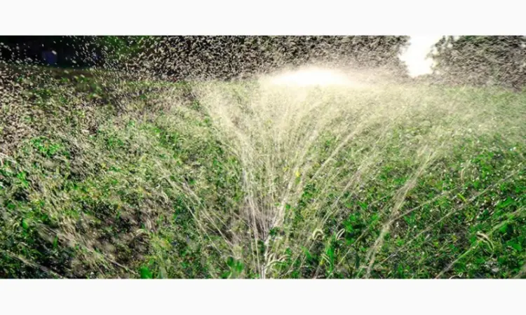 Шланг Туман, Голден Спрей (Golden spray) Капельный полив Капельная лента - фото № 12
