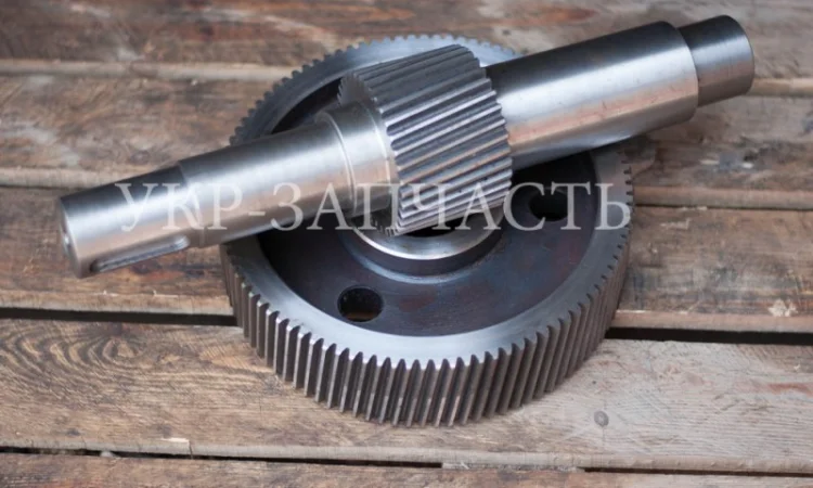 Шестерня колесо промежуточное М3 ОГМ 1, 5 - фото № 2