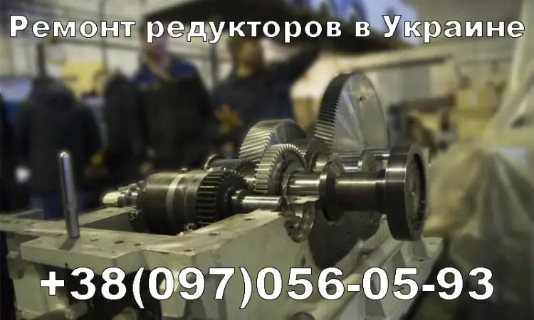 Ремонт редукторов Bauer - фото № 1
