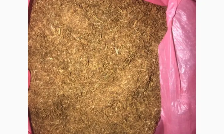 Продам табак хорошого качества для трубки , не горчить, нету запаха махорки - фото № 3