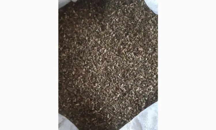 Самосад/ Махорка - ОПТ - фото № 1