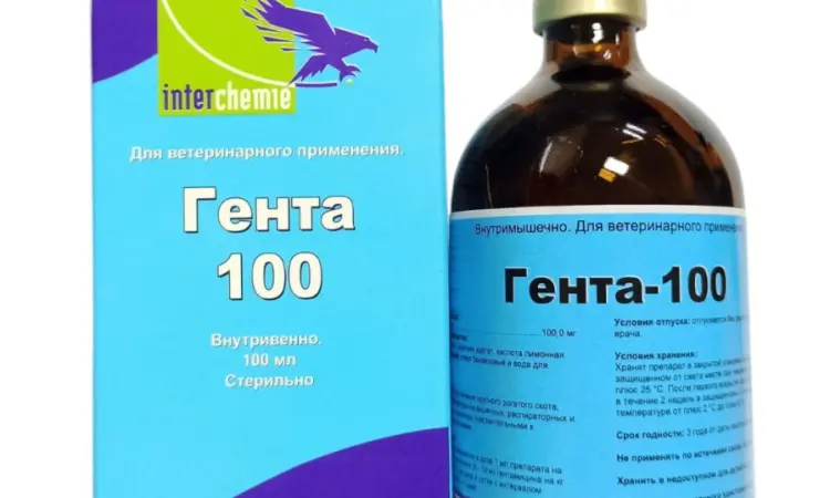 Гента-100, 100 мл - фото № 1