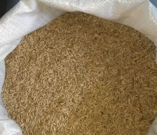 Жито озиме, насіння, зерно - фото № 1