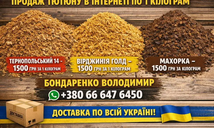 Продам - фото № 2