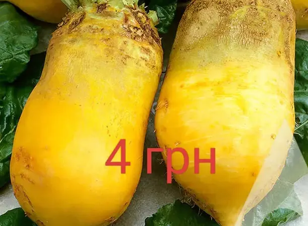 Продам кормовую свеклу, морковь, картофель и чеснок - фото № 1