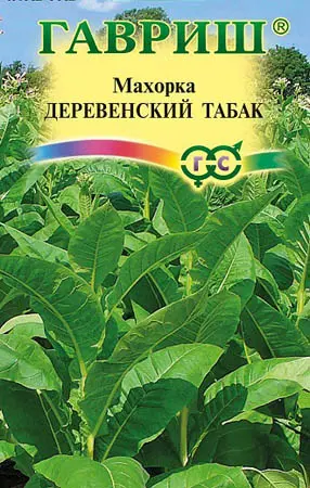 Насіння тютюну курильного Махорка Сільський - фото № 1