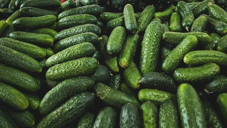 Пропонується огірок з Туреччини та Азербайджану - фото № 1