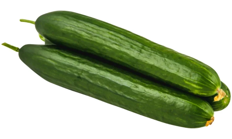Пропонується огірок з Туреччини та Азербайджану - фото № 2