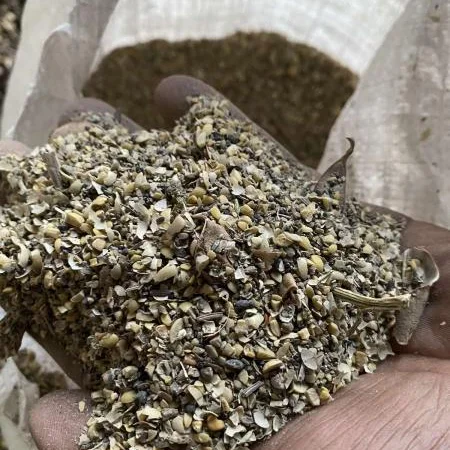 Зерноотходы сои - фото № 1