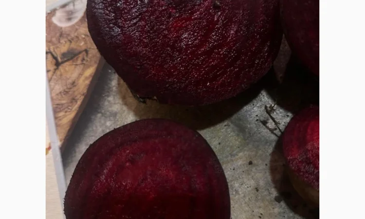 Продаю буряк сорту Камаро - фото № 2