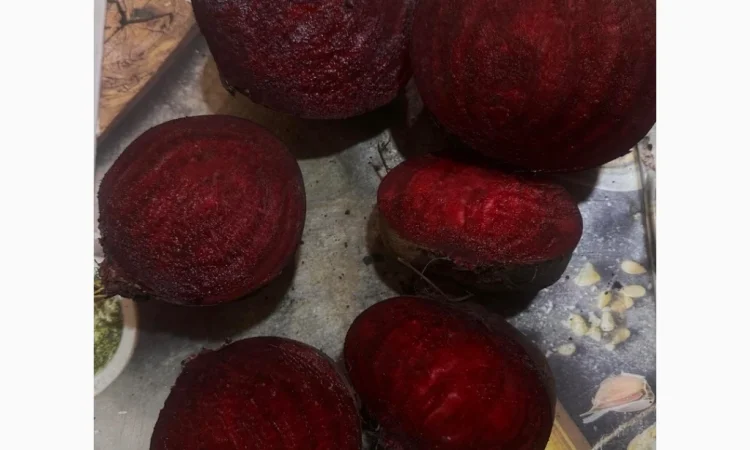 Продаю буряк сорту Камаро - фото № 7