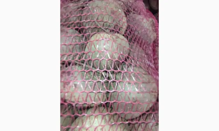 Продам столовую свеклу. Сорт Зепо. Есть объемы - фото № 3