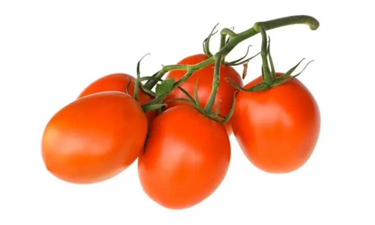 Продам помідор - фото № 1