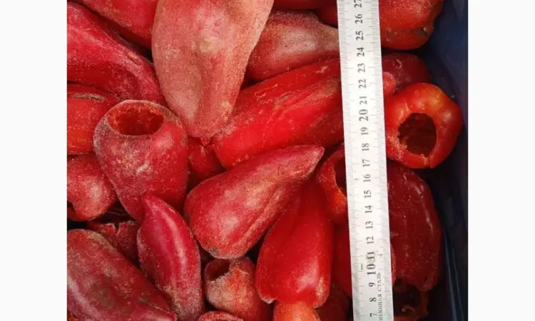 Продам перец целый (столовый). Свежемороженый - фото № 2